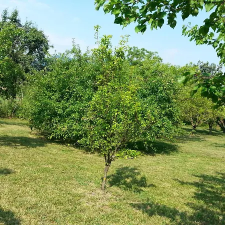 A Fine 2 Bedroom Stone House In Emila Holiday home Piacenza