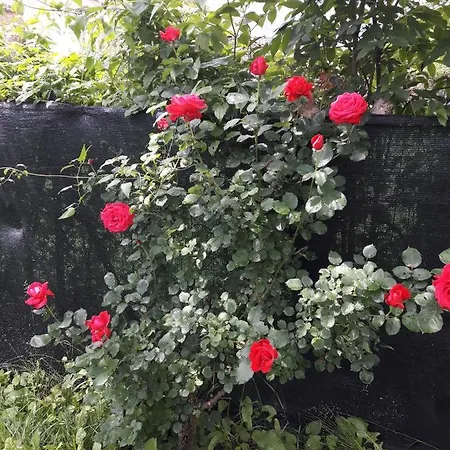 A Fine 2 Bedroom Stone House In Emila Σπίτι διακοπών *