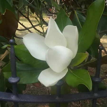 A Fine 2 Bedroom Stone House In Emila