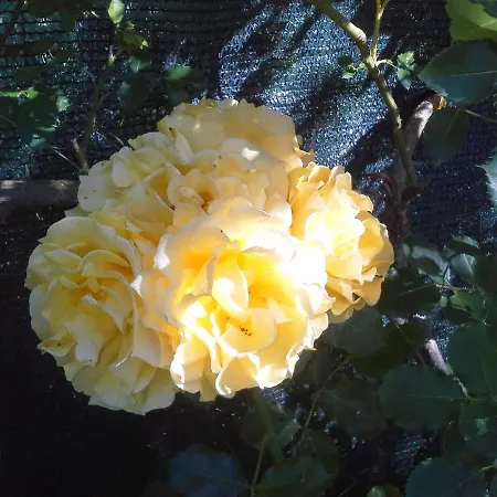 Casa vacanze A Fine 2 Bedroom Stone House In Emila