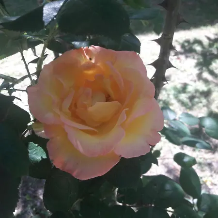 A Fine 2 Bedroom Stone House In Emila Σπίτι διακοπών *