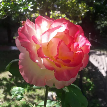 A Fine 2 Bedroom Stone House In Emila *