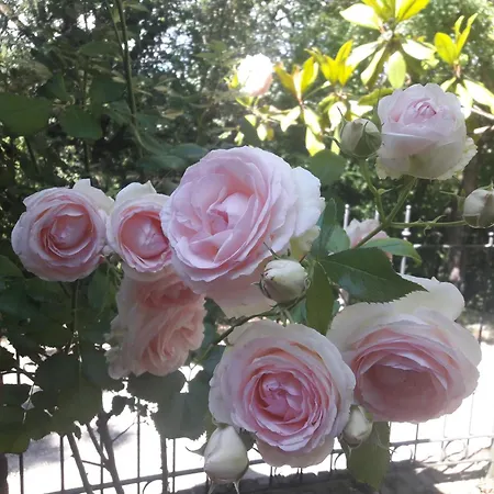 A Fine 2 Bedroom Stone House In Emila * Πιατσέντζα