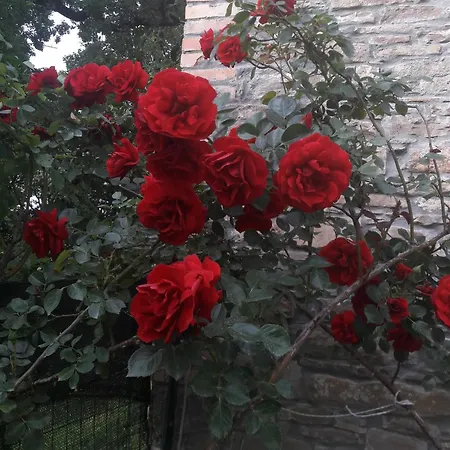 A Fine 2 Bedroom Stone House In Emila * Piacenza