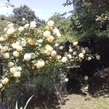 A Fine 2 Bedroom Stone House In Emila Σπίτι διακοπών *