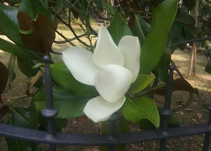 A Fine 2 Bedroom Stone House In Emila