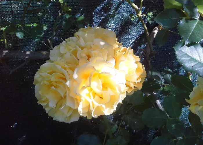 Vakantiehuis A Fine 2 Bedroom Stone House In Emila