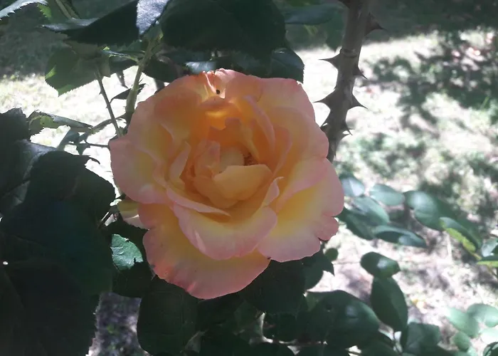 A Fine 2 Bedroom Stone House In Emila Vakantiehuis *