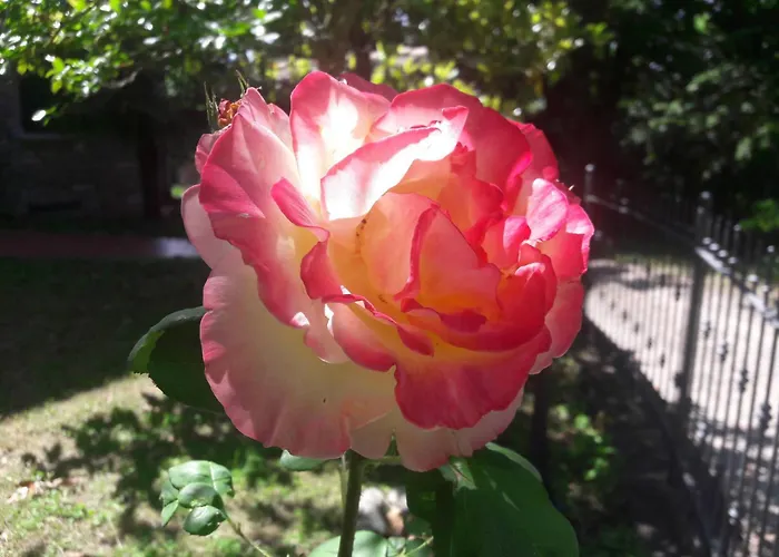 A Fine 2 Bedroom Stone House In Emila *