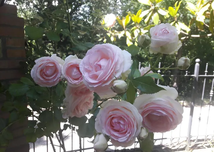 A Fine 2 Bedroom Stone House In Emila * Piacenza