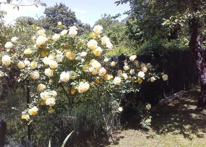 A Fine 2 Bedroom Stone House In Emila Vakantiehuis *